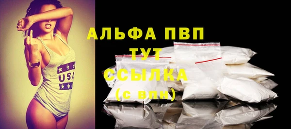 гашик Ладушкин