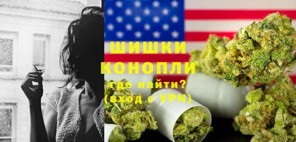 гашик Ладушкин