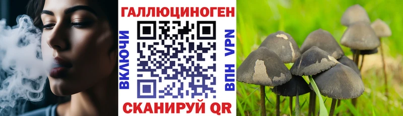 omg зеркало  Сургут  Псилоцибиновые грибы ЛСД 