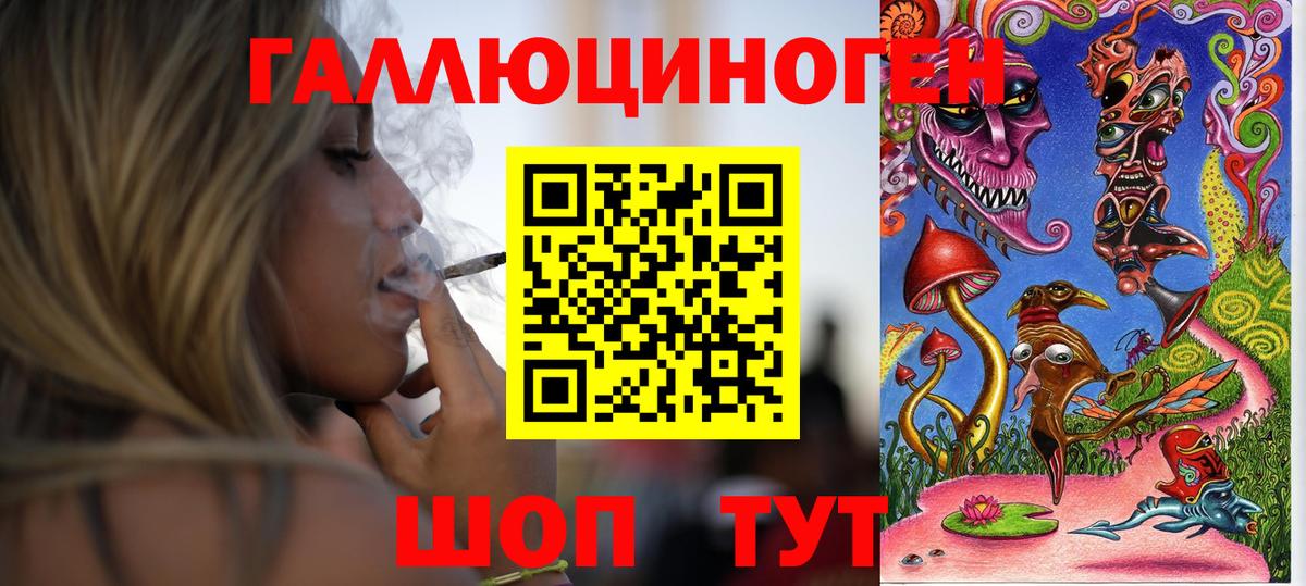 Псилоцибиновые грибы Psilocybine cubensis Сургут