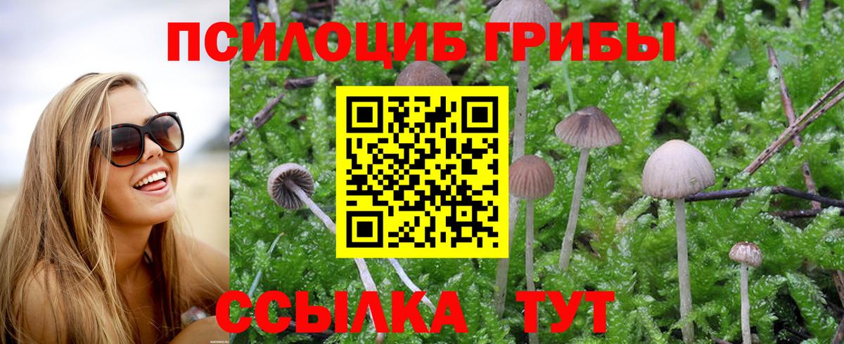 Гашиш  COCAIN  Мефедрон   Экстази  Бошки Шишки  Гашиш  Сургут  ТГК  Меф МЯУ МЯУ  Вход с VPN 