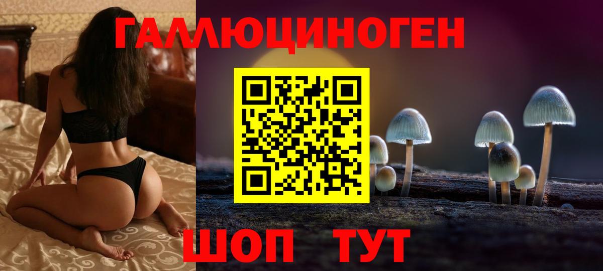 закладка  Псилоцибиновые грибы Psilocybe  Вход с VPN  Сургут 