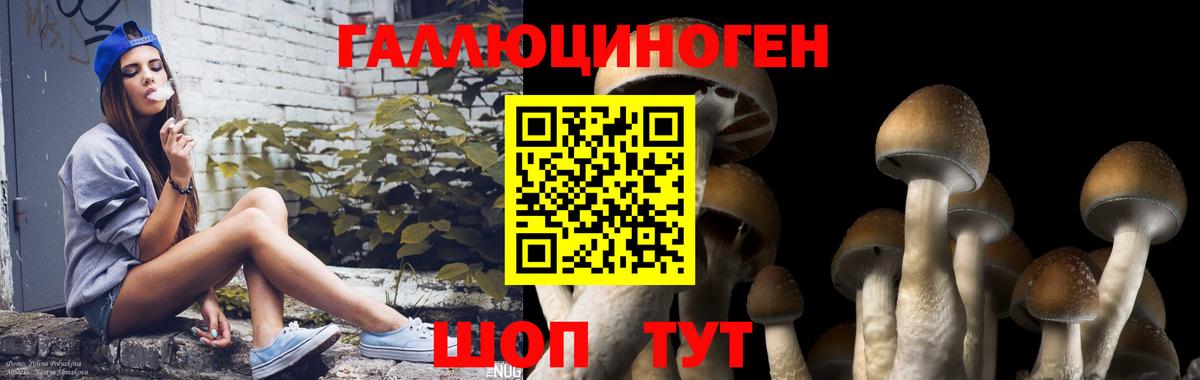 Галлюциногенные грибы MAGIC MUSHROOMS  Псилоцибиновые грибы Psilocybe  Сургут 